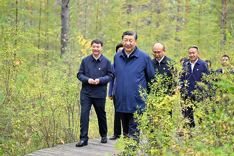9月6日至8日，中共中央總書記、國家主席、中央軍委主席習(xí)近平在黑龍江考察。這是6日下午，習(xí)近平在大興安嶺地區(qū)漠河市漠河林場自然林區(qū)考察